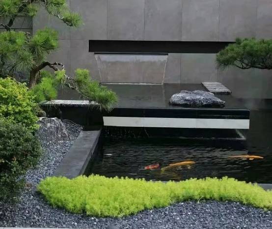 鱼池